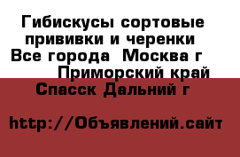 Гибискусы сортовые, прививки и черенки - Все города, Москва г.  »    . Приморский край,Спасск-Дальний г.